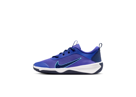Nike Omni Multi Court (DM9027-500) blau