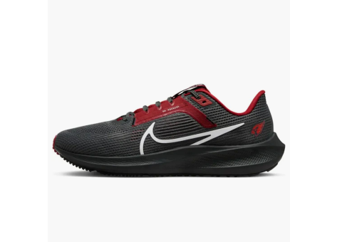 Nike Pegasus 40 Arizona Cardinals (DZ5994 001) schwarz