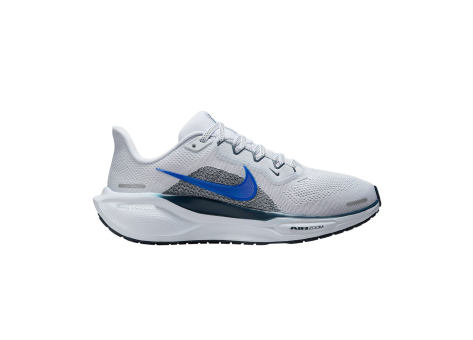 Nike Pegasus 41 (FD2723-006) bunt