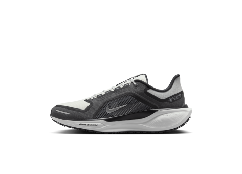 Nike Pegasus 41 GORE TEX Air (FQ1356-002) grau