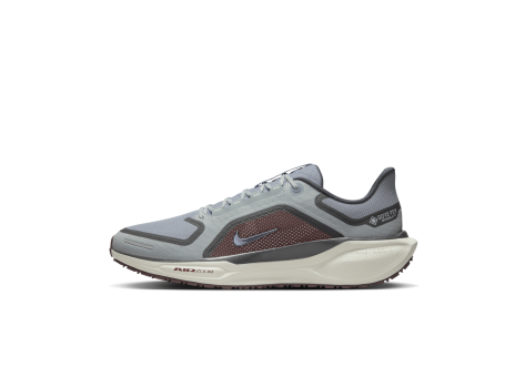 Nike Pegasus 41 GORE TEX (FQ1356-003) grau