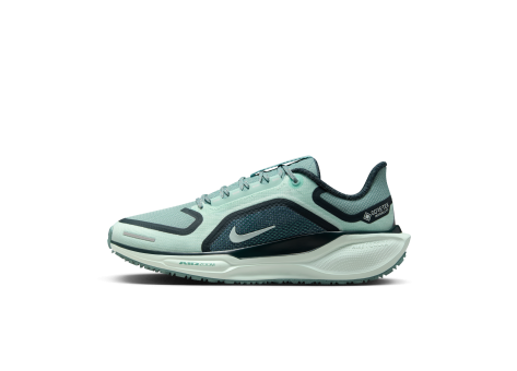 Nike Pegasus 41 GORE-TEX (FQ1357-003) türkis