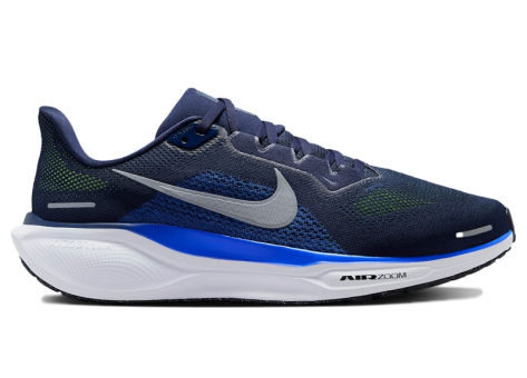 Nike Pegasus 41 (FD2722-400) bunt