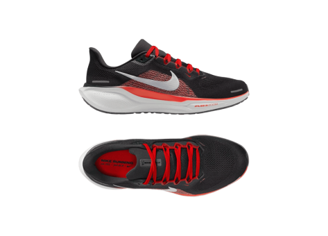 Nike Pegasus 41 (FD2722-008) grau