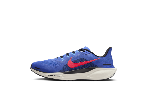 Nike Pegasus 41 (FD2722-401) blau