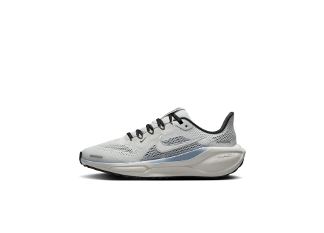 Nike Pegasus 41 (FN5041-002) grau