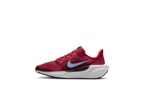 Nike Pegasus 41 Air Zoom (FN5041-602) rot