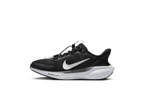 Nike Pegasus EasyOn (FQ7837-002) schwarz