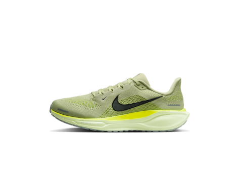 Nike Pegasus 41 Air (FD2722-303) grün