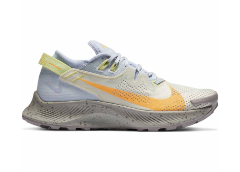 Nike Pegasus Trail 2 (CK4309-001) bunt