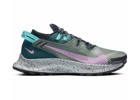 Nike Pegasus Trail 2 (CK4309-300) bunt