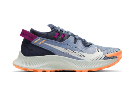 Nike Pegasus Trail 2 (CK4309-401) bunt