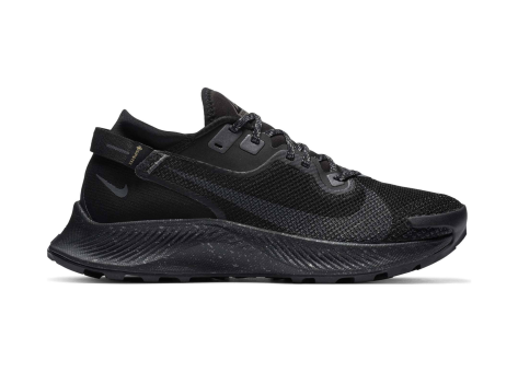 Nike Pegasus Trail 2 Gore Tex (CU2018-001) schwarz