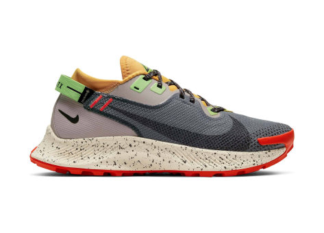 Nike Pegasus Trail 2 Gore Tex GTX (CU2018-002) bunt