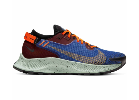 Nike Pegasus Trail 2 Gore Tex (CU2018-600) bunt