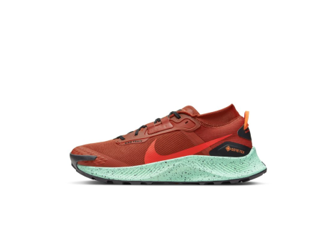 Nike Pegasus Trail 3 Gore Tex (DC8793-800) rot
