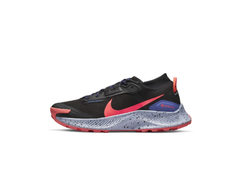 Nike Pegasus Trail 3 GORE TEX (DC8794-002) bunt