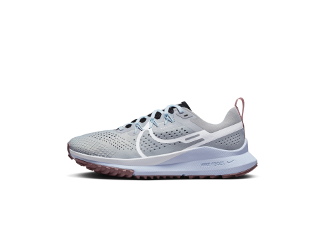 Nike Pegasus Trail 4 React (DJ6159-005) grau