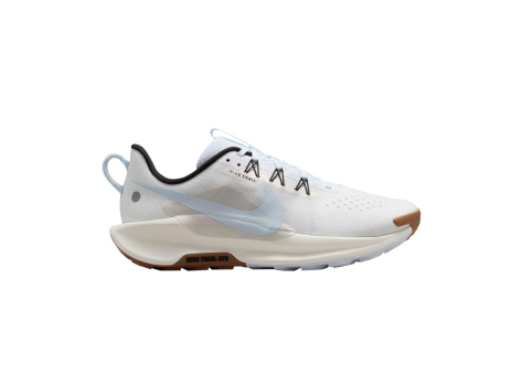 Nike Pegasus Trail 5 (DV3864-103) weiss