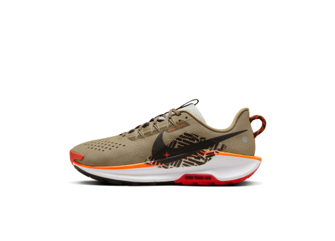 Nike Pegasus Trail 5 (DV3864-201) braun