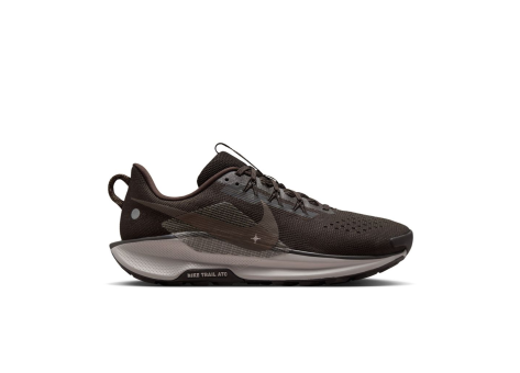 Nike Pegasus Trail 5 (DV3864-202) braun