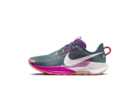 Nike Pegasus Trail 5 (DV3864-401) blau