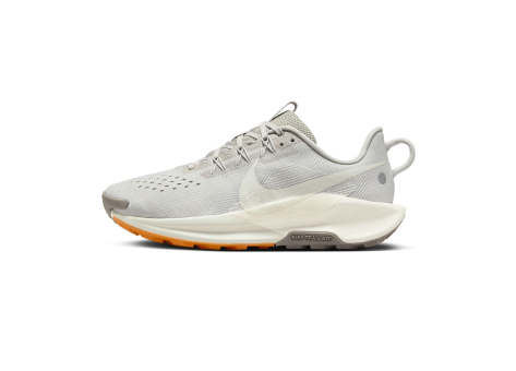 Nike Pegasus Trail 5 (DV3865-004) weiss