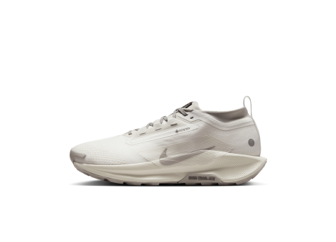 Nike Pegasus Trail 5 GORE TEX SP Reactx (HQ7494-100) beige