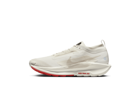 Nike Pegasus Trail 5 GORE TEX (FQ0908-100) weiss