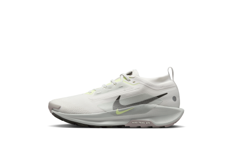 Nike Pegasus Trail 5 GORE TEX wasserdichter (FQ0908-102) weiss