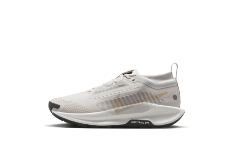 Nike Pegasus Trail 5 GORE TEX (FQ0912-008) beige