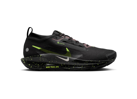 Nike Pegasus Trail 5 (FQ0908-014) schwarz