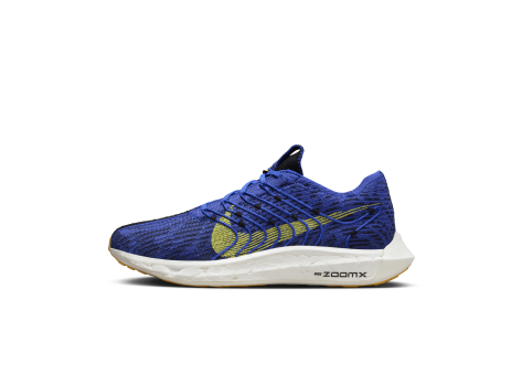 Nike Pegasus Turbo Next Nature (DM3413-401) blau