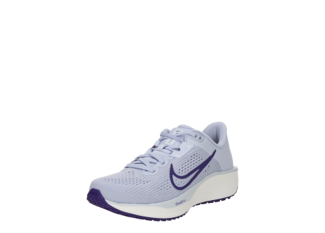 Nike Quest 6 (FD6034/008) lila