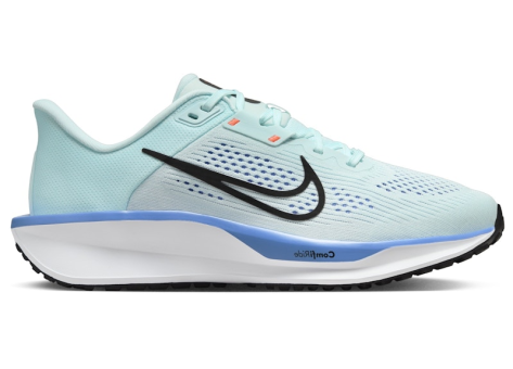 Nike Quest 6 (FD6034-401) blau
