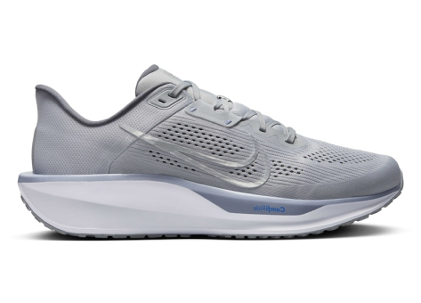 Nike Quest 6 (FD6033 004) grau