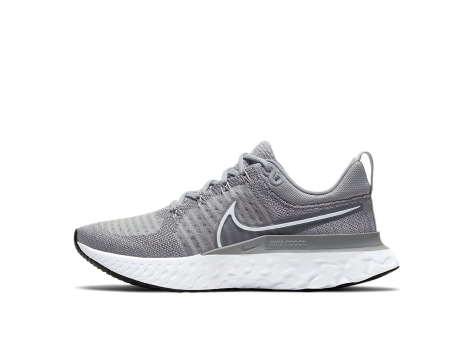 Nike React Infinity Run Flyknit 2 (CT2423 001) grau