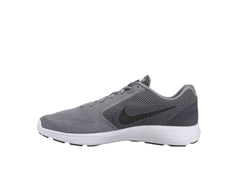 Nike Revolution 3 (819300-002) grau