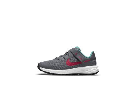 Nike Revolution 6 FlyEase (DD1114-006) grau