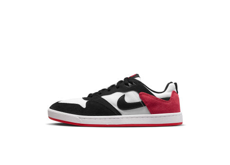 Nike Alleyoop SB (CJ0882-102) bunt