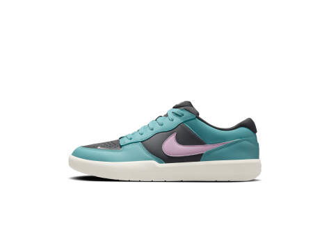 Nike SB Force 58 Premium (DV5476-400) blau