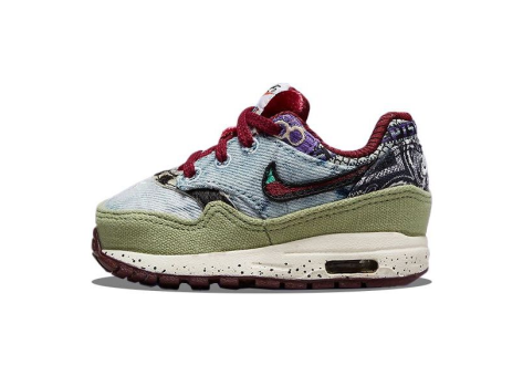 Nike Air Max 1 SP Concepts Mellow TD x (DR2363-300) bunt