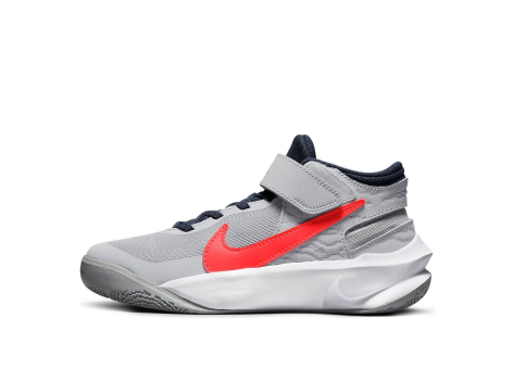 Nike Team Hustle D 10 FlyEase Gray (DD7303-006) grau