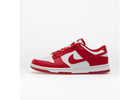 Nike Dunk Low Next Nature (DD1873 116) bunt