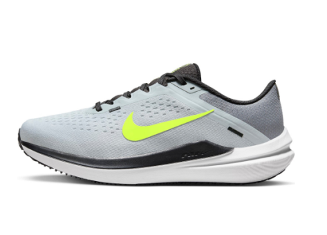 Nike Winflo 10 (DV4022-007) grau
