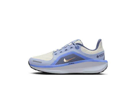 Nike Winflo 11 GORE TEX Air (FQ1359-002) blau