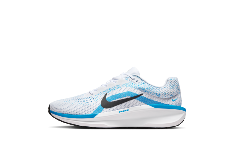 Nike Winflo 11 (FJ9509-110) bunt