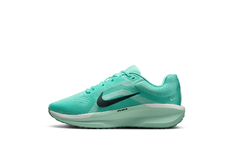 Nike Winflo 11 (FJ9510-305) grün