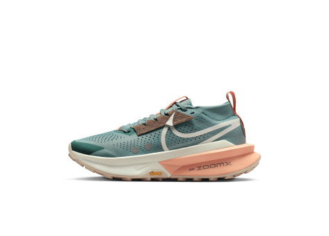 Nike Zegama 2 Trail (FD5191-008) bunt