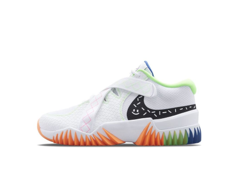 Nike Zoom Court Dragon (DV8166-101) weiss